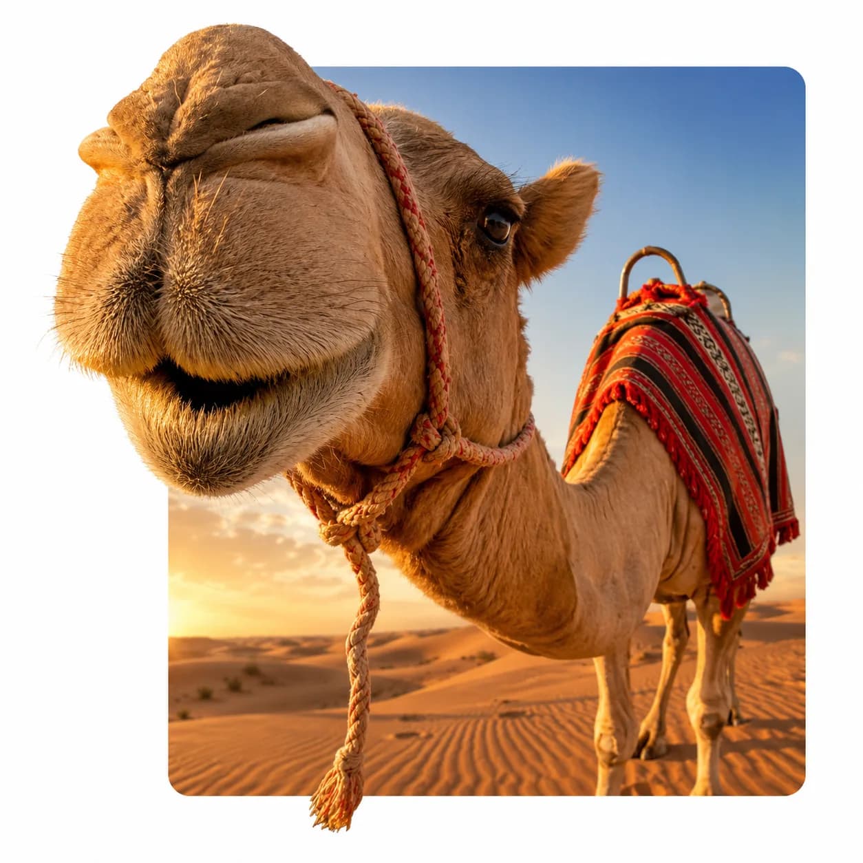 Dubai Visa Types: 7 Options to Pick the Right One for Your 2026 Trip